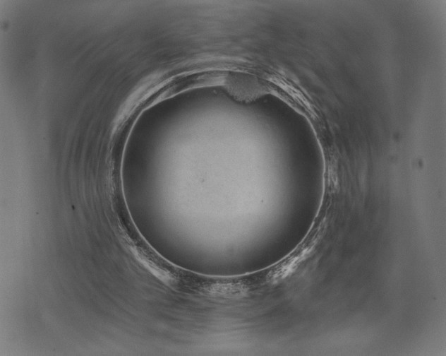 X0000072990101200607211209