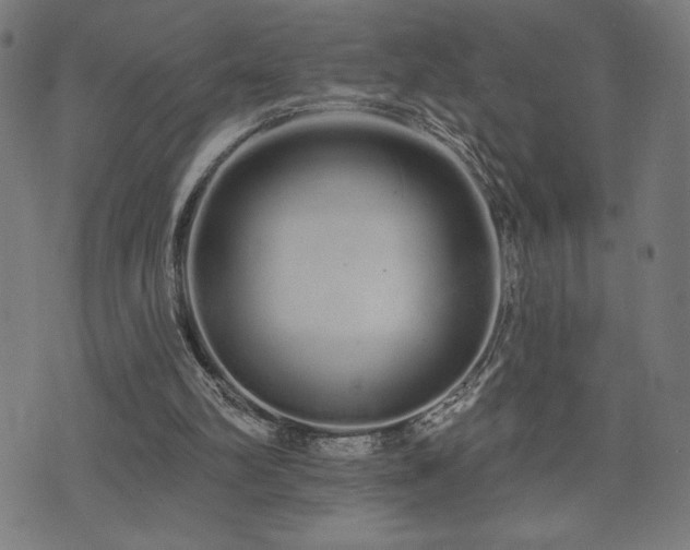 X0000072990102200607211209