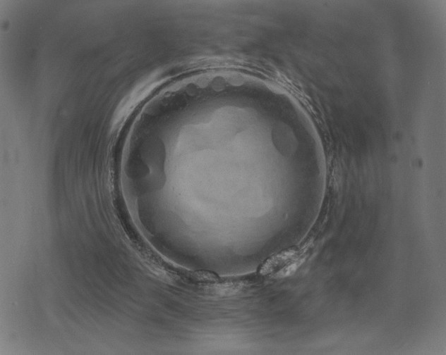 X0000072990103200607211209