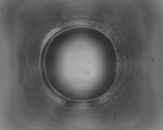 X0000072990104200607211209