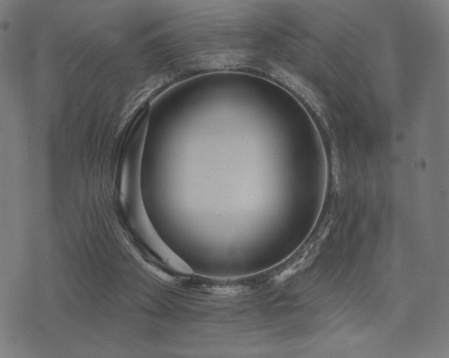 X0000072990105200607211209