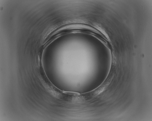 X0000072990109200607211209