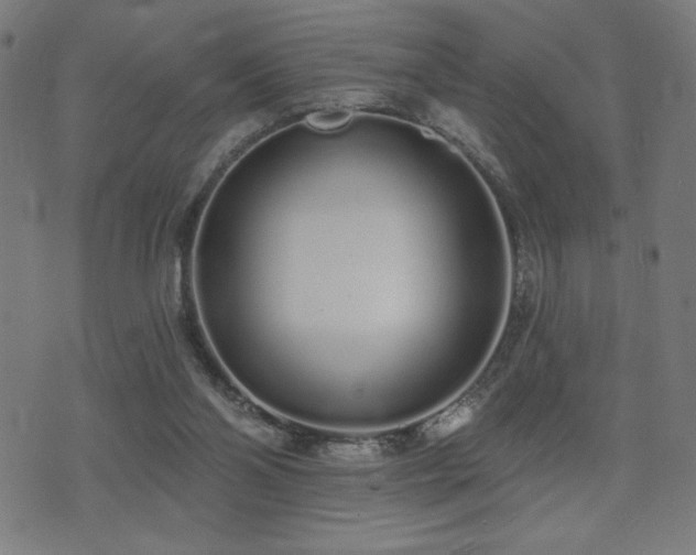 X0000072990110200607211209