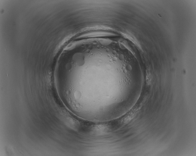 X0000072990111200607211209