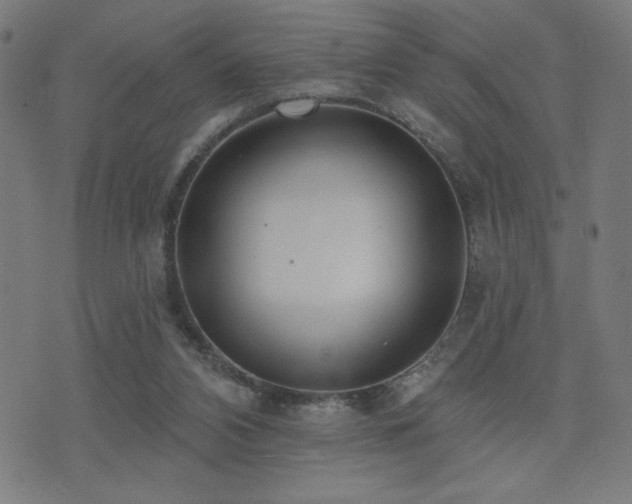 X0000072990112200607211209