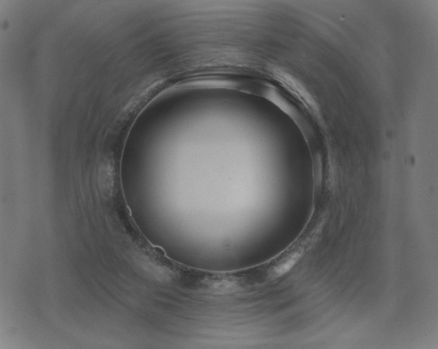 X0000072990113200607211209