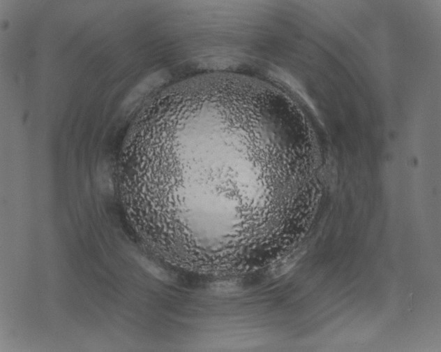 X0000072990114200607211209