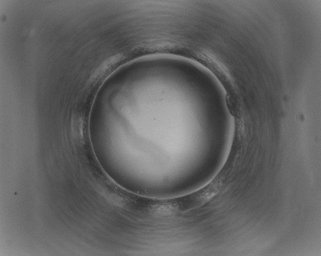 X0000072990115200607211209