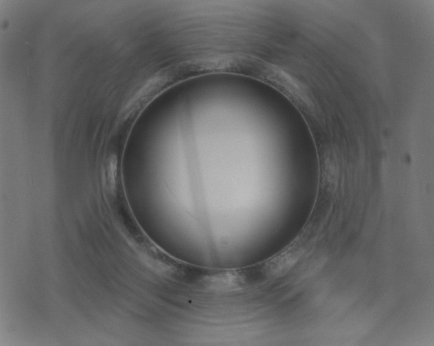 X0000072990118200607211209