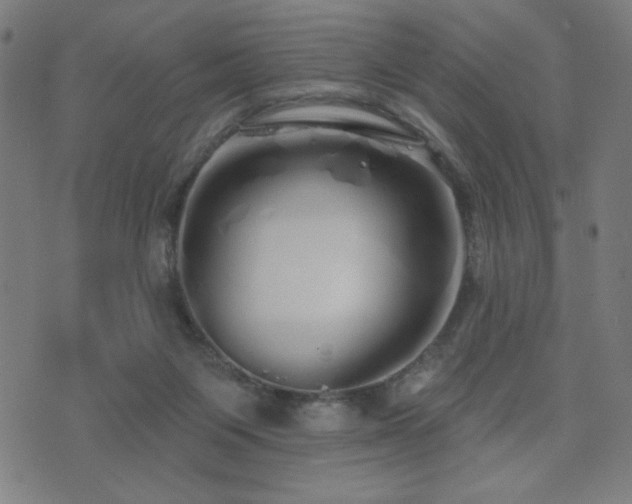 X0000072990119200607211209