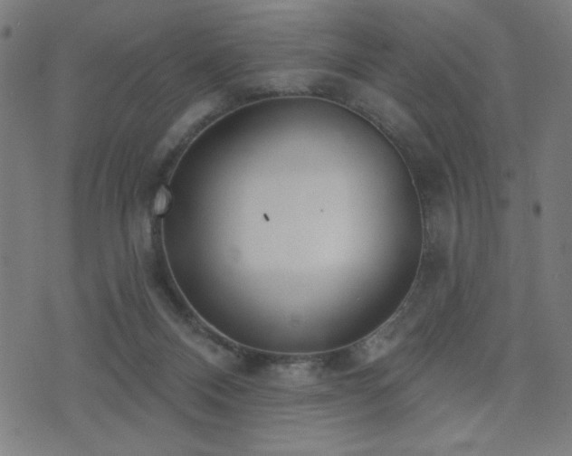 X0000072990120200607211208