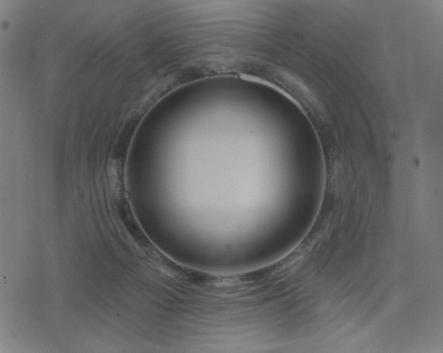 X0000072990121200607211208