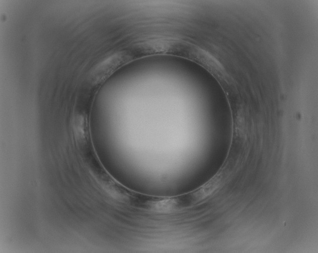 X0000072990122200607211208