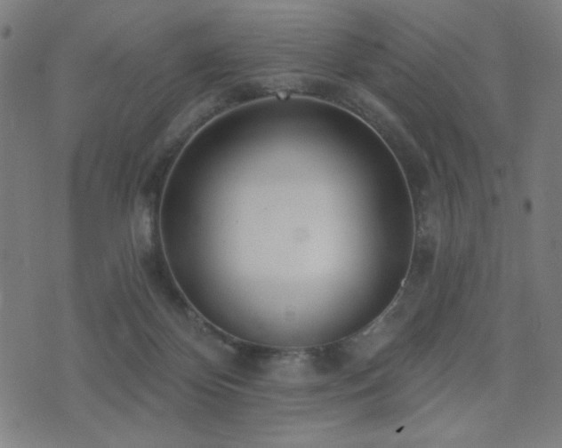 X0000072990124200607211208