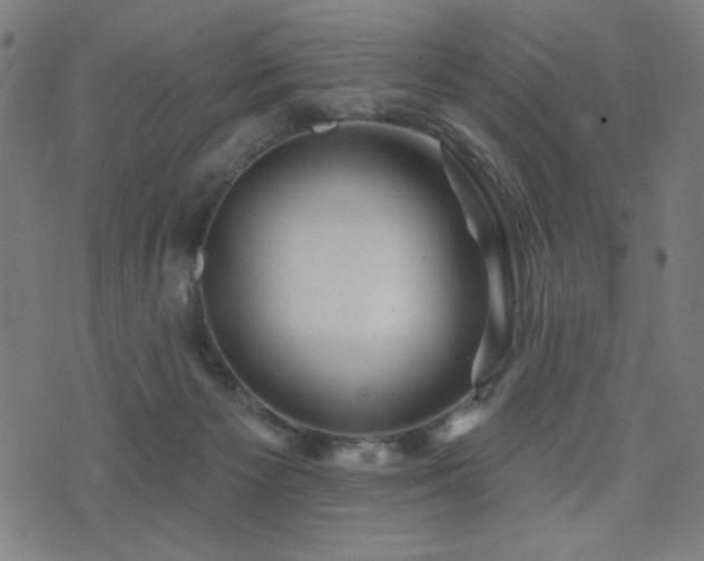 X0000072990125200607211208