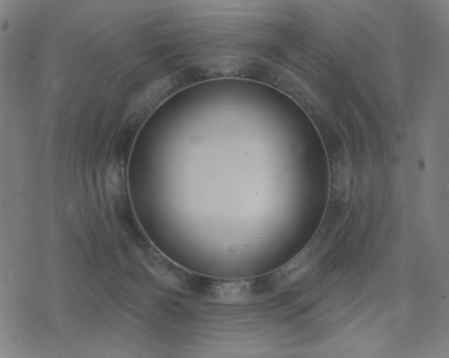 X0000072990126200607211208