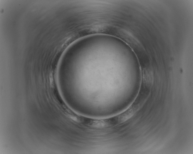 X0000072990127200607211208