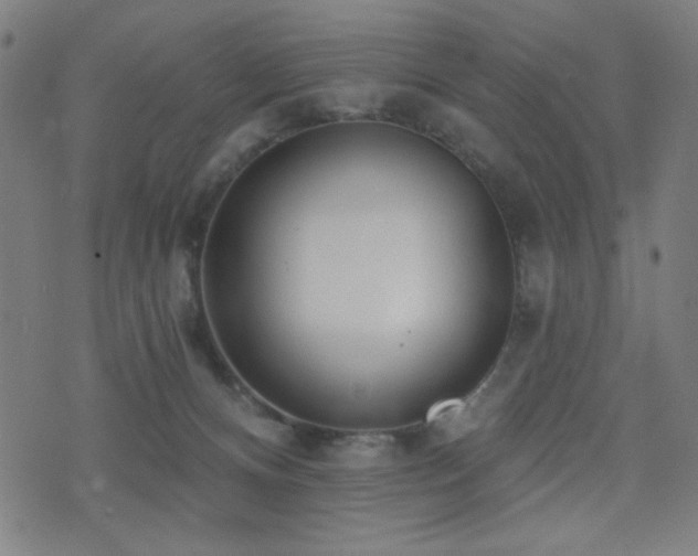 X0000072990128200607211208