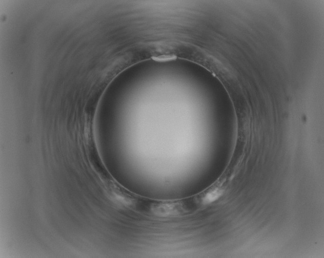 X0000072990129200607211208