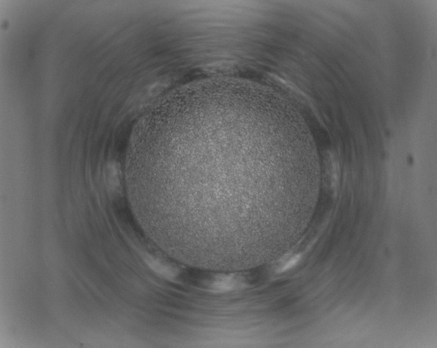 X0000072990130200607211208