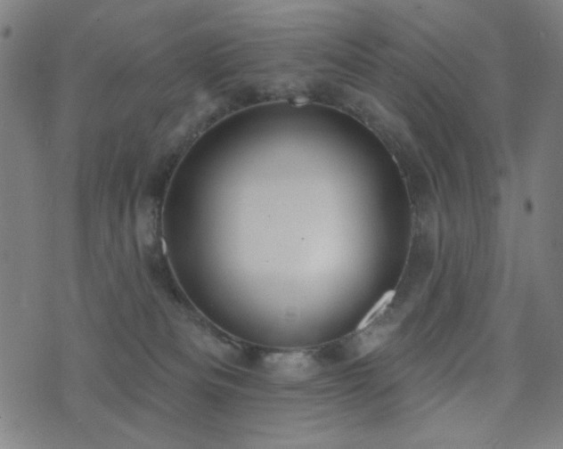 X0000072990133200607211208