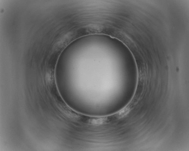 X0000072990134200607211208