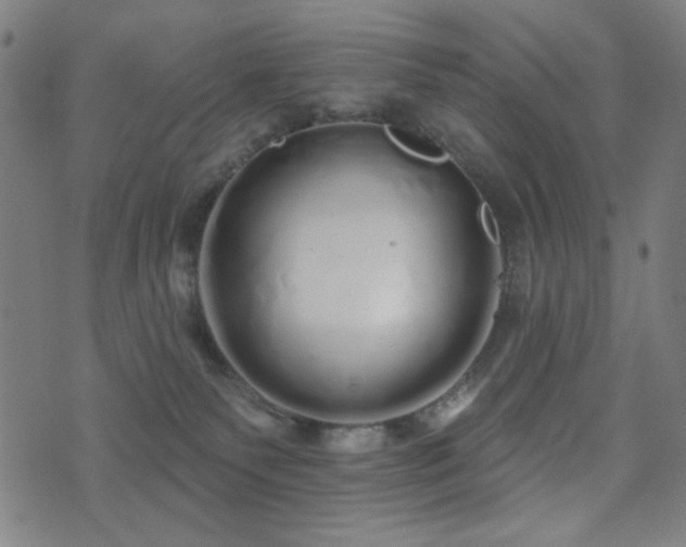 X0000072990135200607211208