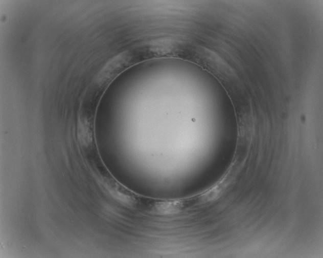 X0000072990136200607211208