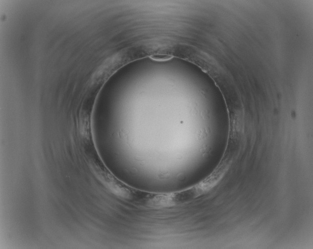 X0000072990138200607211208