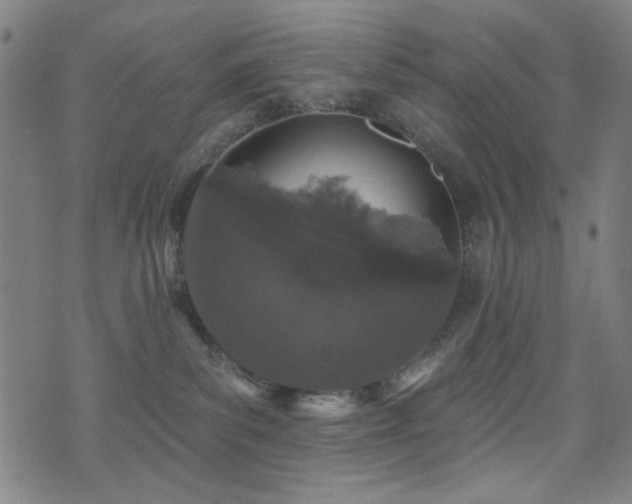 X0000072990139200607211208