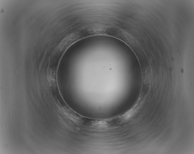 X0000072990140200607211208