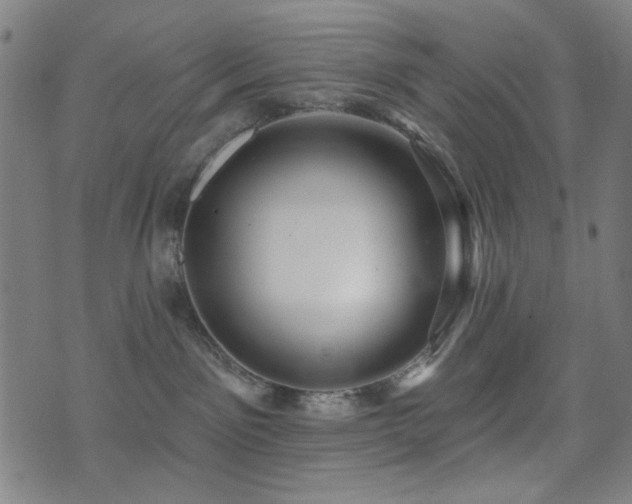 X0000072990141200607211208