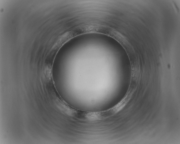 X0000072990142200607211208