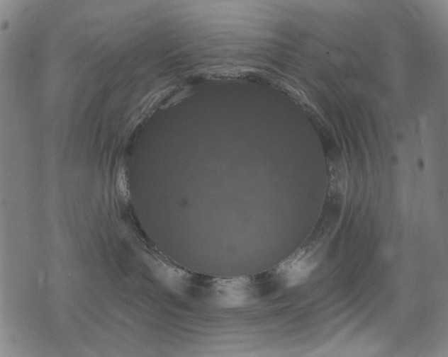 X0000072990143200607211208