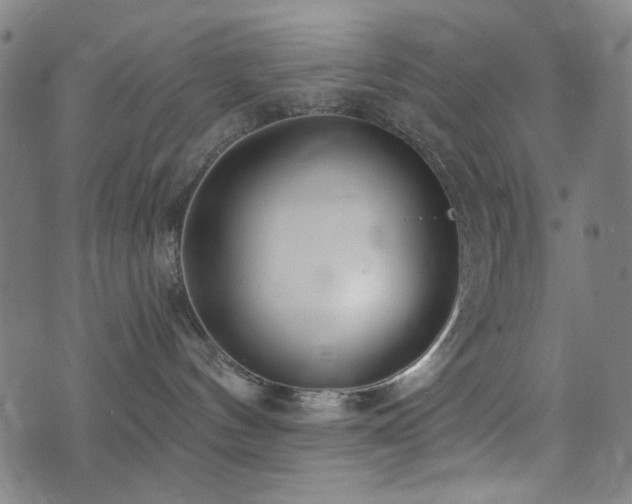 X0000072990144200607211208