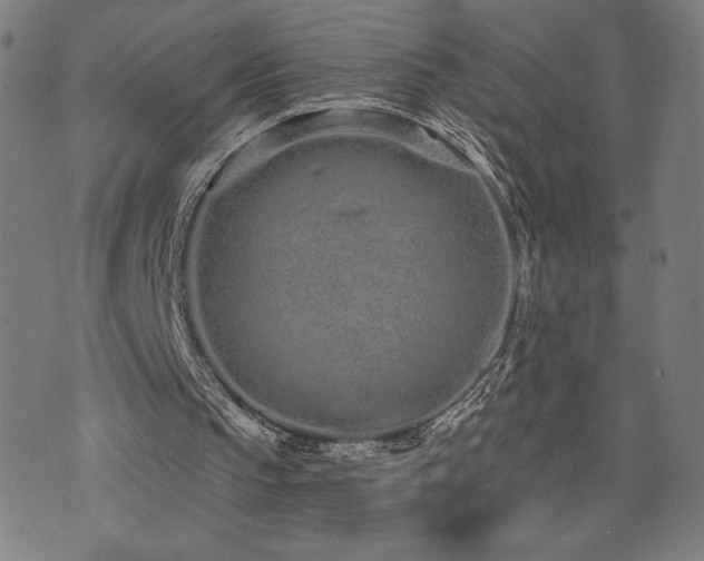 X0000072990145200607211207