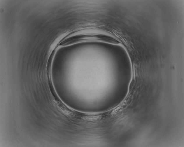 X0000072990147200607211207