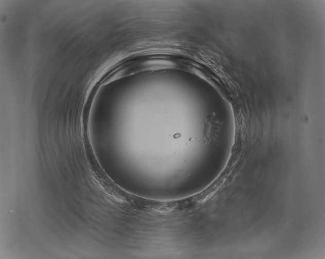 X0000072990148200607211207