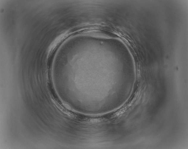 X0000072990149200607211207