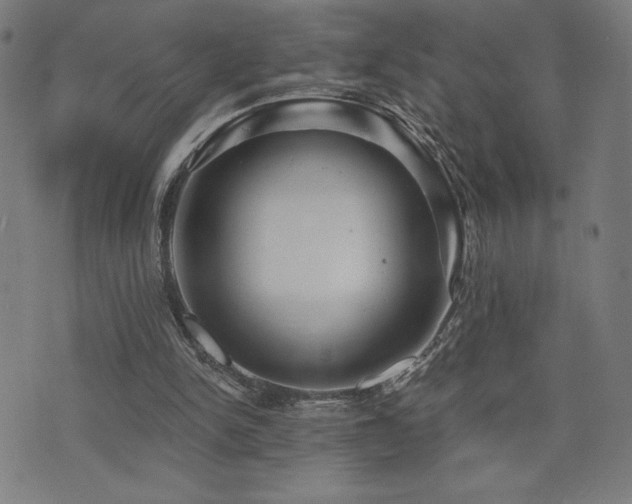 X0000072990150200607211207