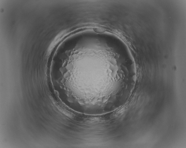 X0000072990151200607211207