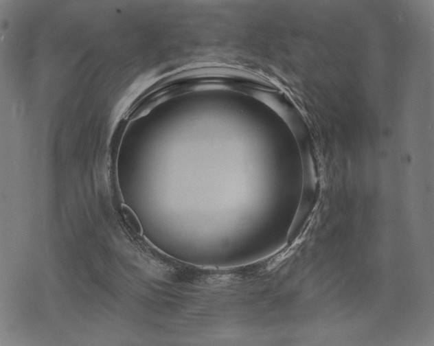 X0000072990152200607211207