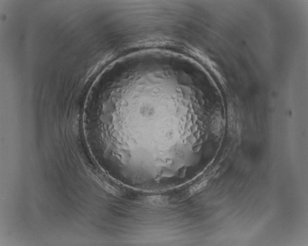 X0000072990153200607211207