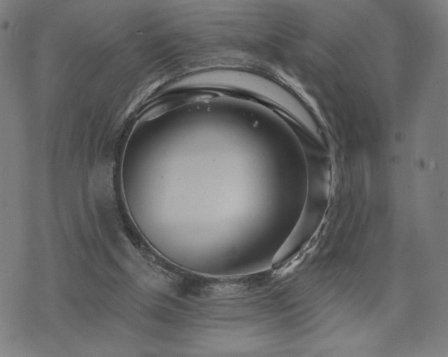 X0000072990154200607211207