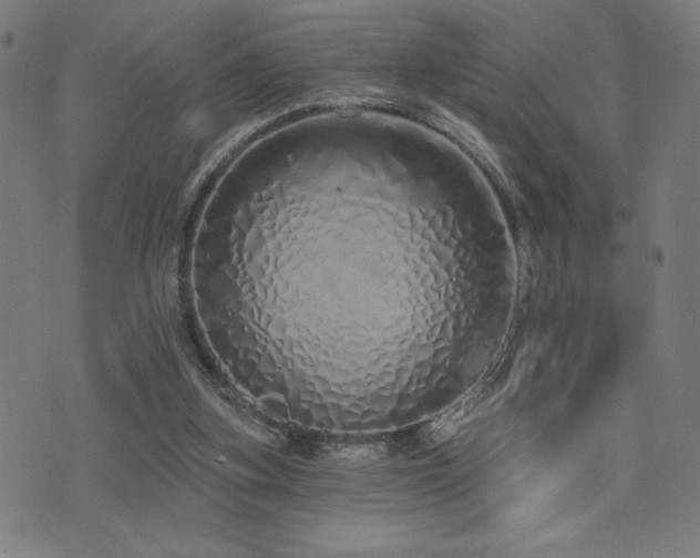 X0000072990155200607211207