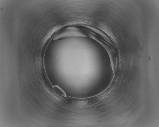 X0000072990156200607211208