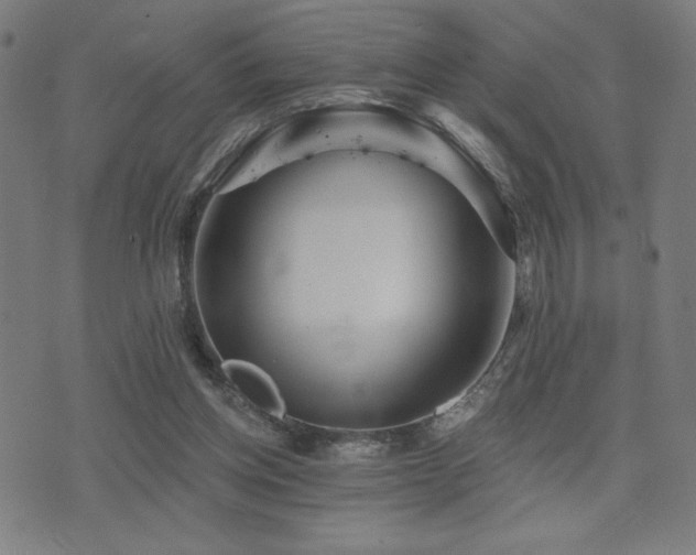 X0000072990158200607211208