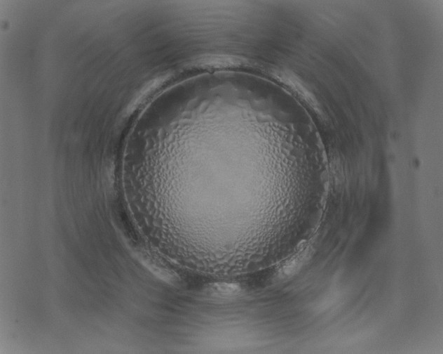 X0000072990159200607211208