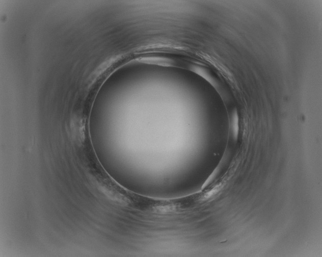 X0000072990160200607211208