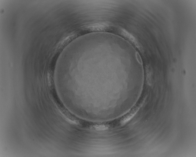 X0000072990161200607211208